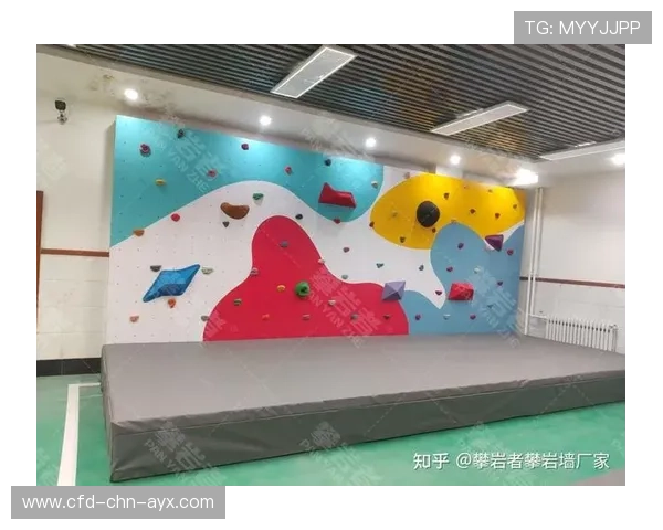 国际攀岩线上教学平台推出分级课程体系，国际攀岩墙