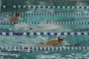 爱游戏ayx-亚洲游泳冠军赛孙杨携队友力夺接力金，中国游泳冠军孙扬